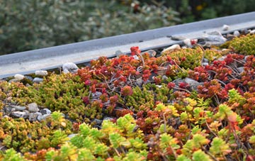 the cost of Maiden Wells green roof installation