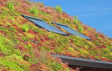 Maiden Wells living roof systems